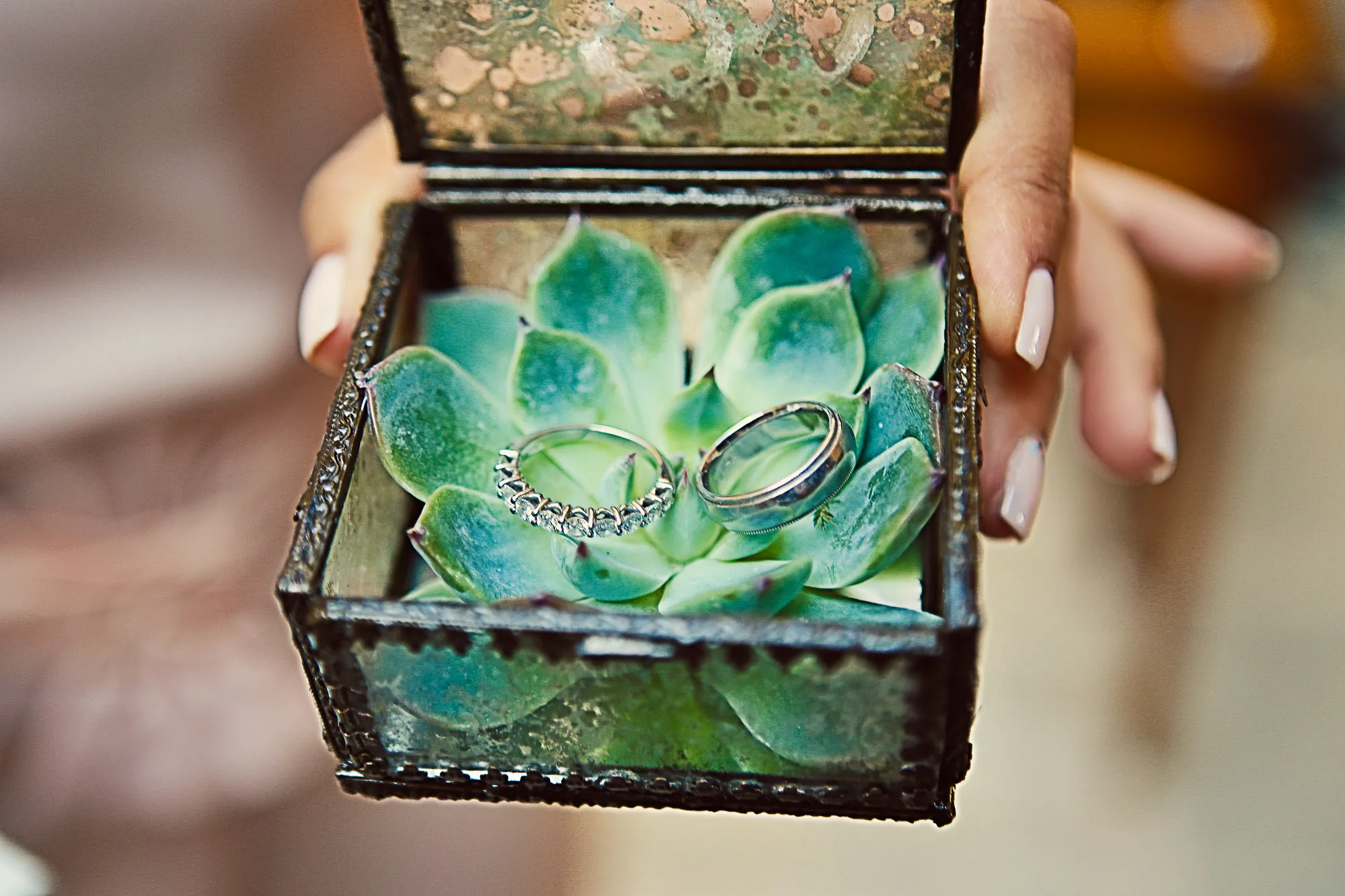 Hand holds open glass box with plant holding two wedding rings. Elegant, romantic wedding detail.