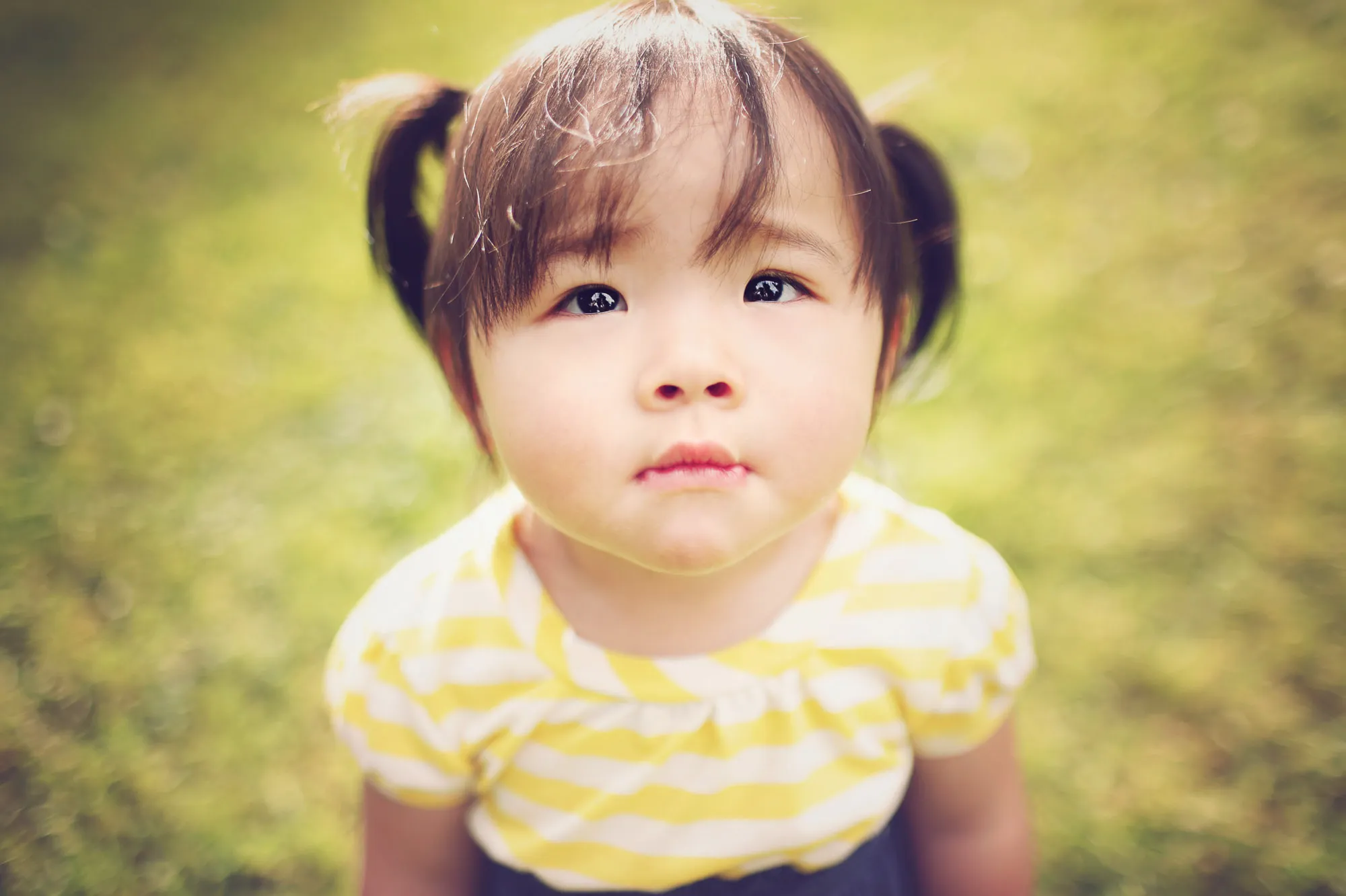 SixSixty Studio: Sweet toddler with pigtails in yellow stripes looks up curiously in a soft outdoor portrait.