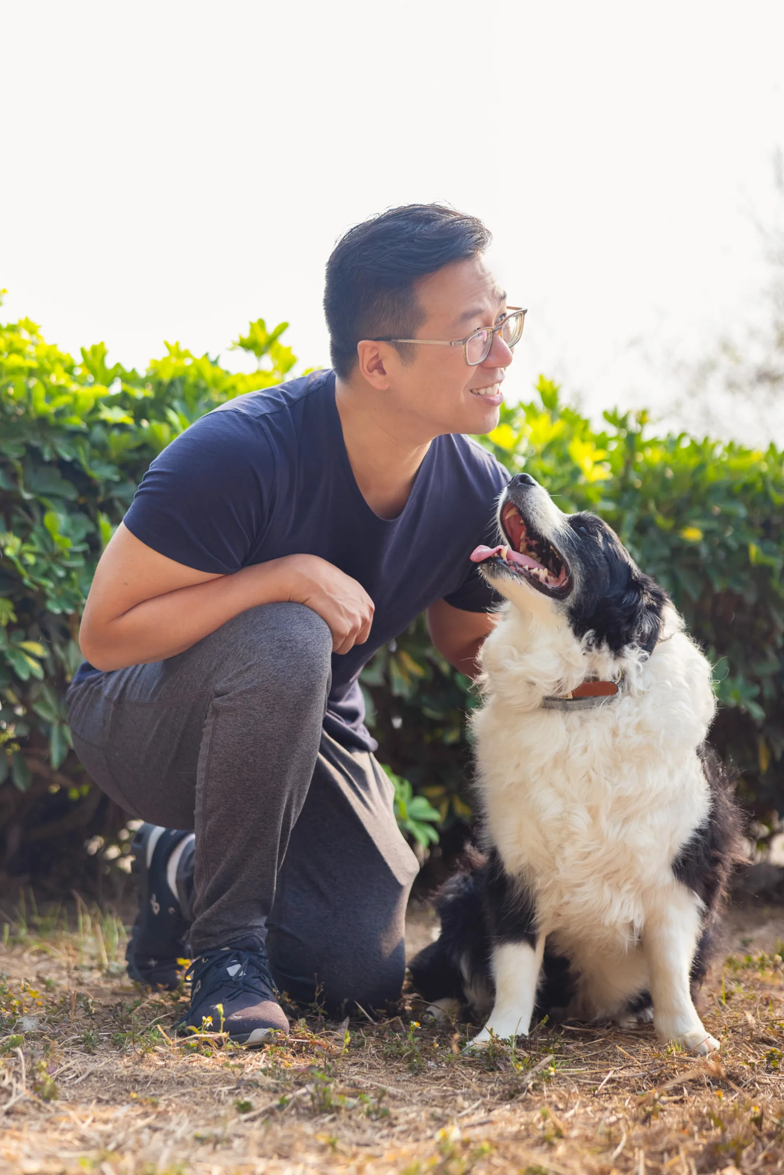 Couple and their border collie enjoying the quiet morning light on Singapore's west coast