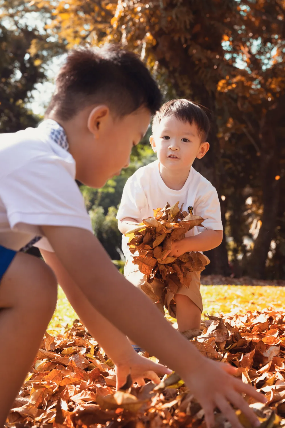 The brothers playing in the leaves at Fort Canning Park