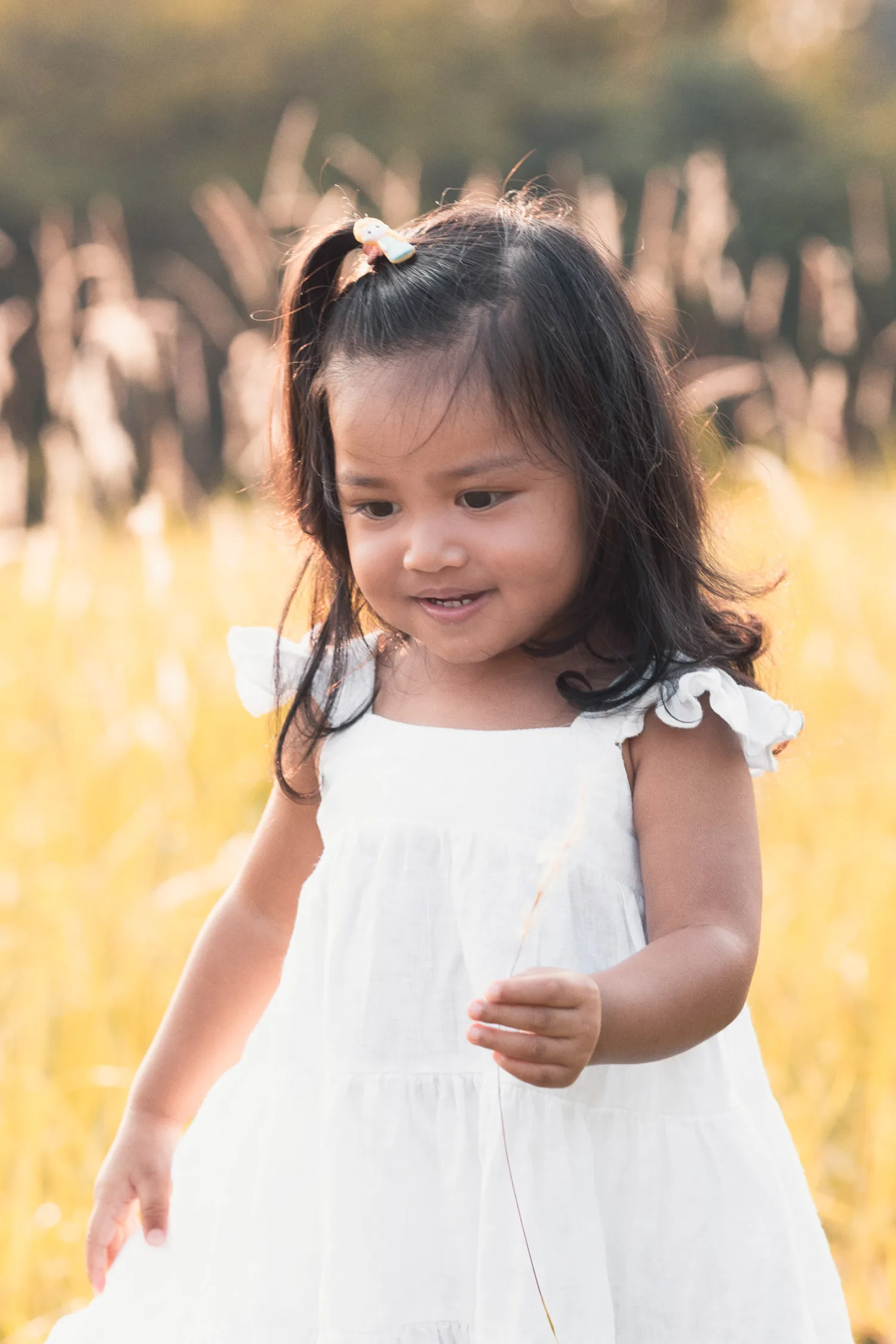 Gabby standing in golden grass holding a delicate stalk, soft contemplative smile